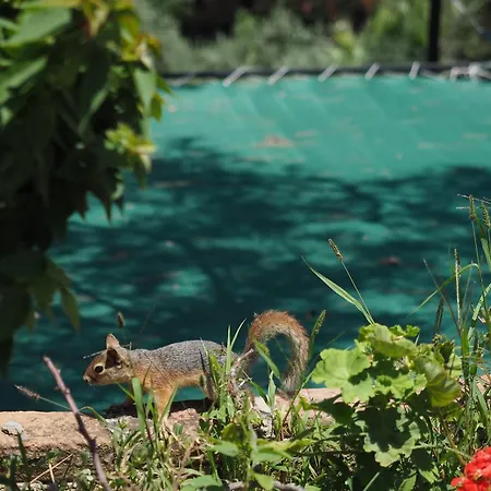 Ξενοδοχείο Loca