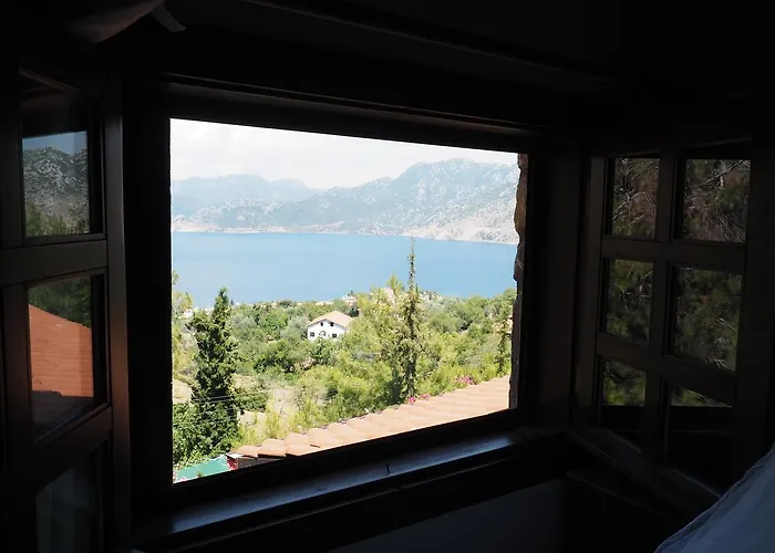 Loca 5* セリミエ