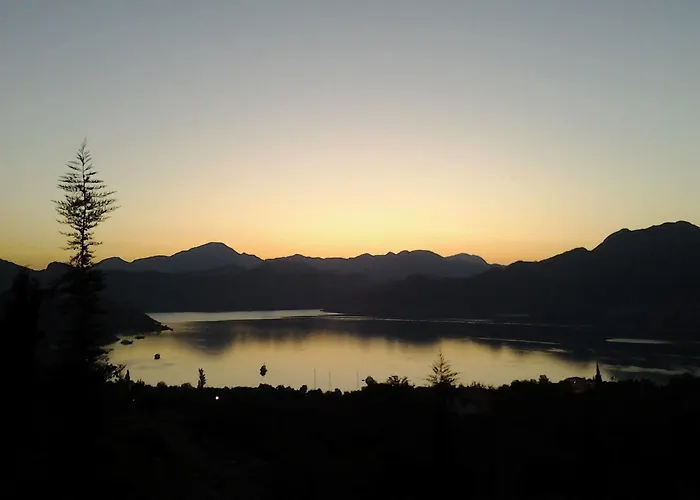 Loca 5* セリミエ