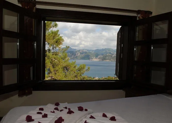 Loca 5* セリミエ